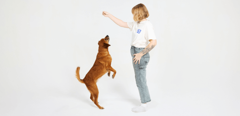 5 Reasons Why New Dog Parents Will Love PupGrade