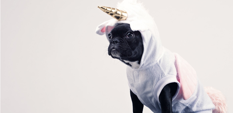 5 Tips for Keeping Your Pup Safe on Halloween