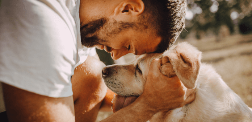 How to Keep Your Dog Active & Comfortable as They Age