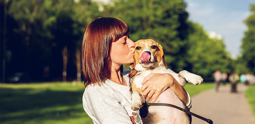 La guía definitiva para la preparación de mascotas