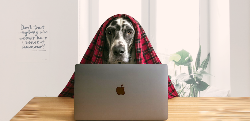 Behind the Brand: WFH Life With the PupGrade Pack
