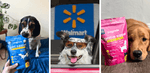 From Local Pup Parents to Walmart Shelves: PupGrade Expands Nationwide