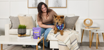 Harp + PupGrade Calming Support Soft Chews