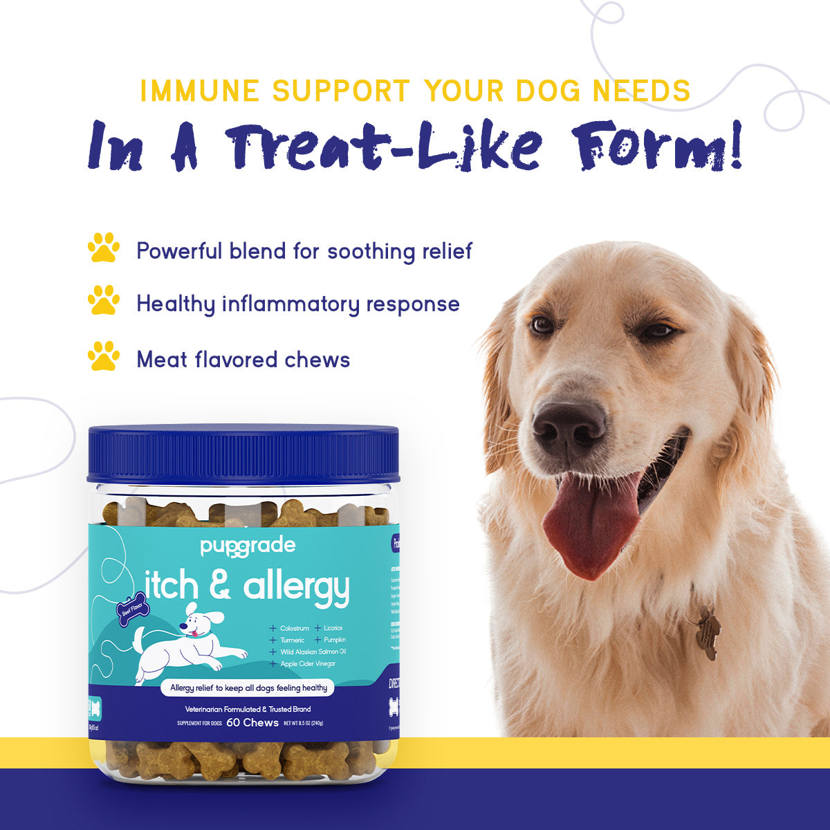 Allergy Symptoms Puppy Is Itching Like Crazy 11 Common Types Of