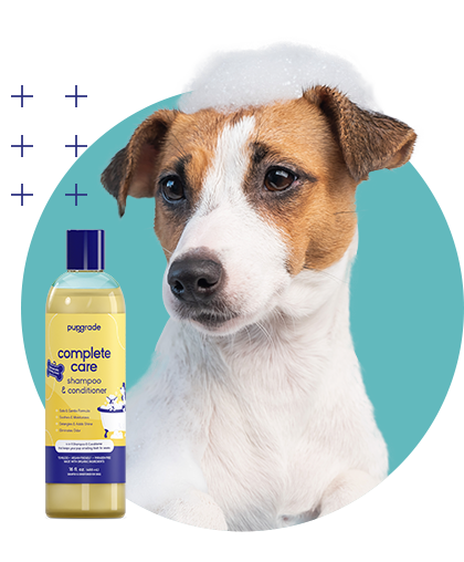 Dog with Shampoo & Conditioner Bottle