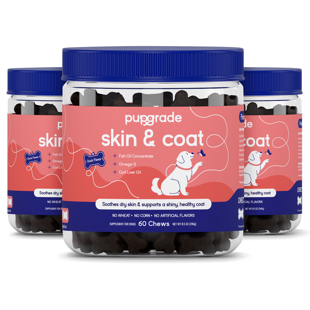 Skin & Coat Jars