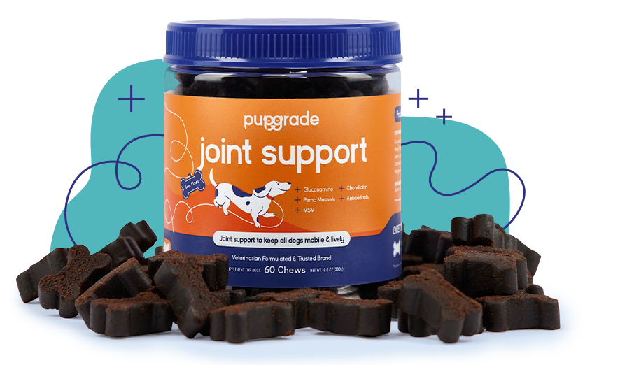 Joint support jar with treats displayed and a blue background.