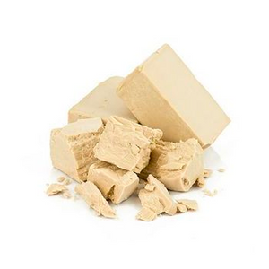 Brewer’s Yeast