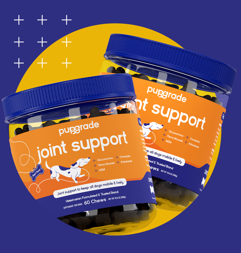 Joint Support jars with yellow and purple background