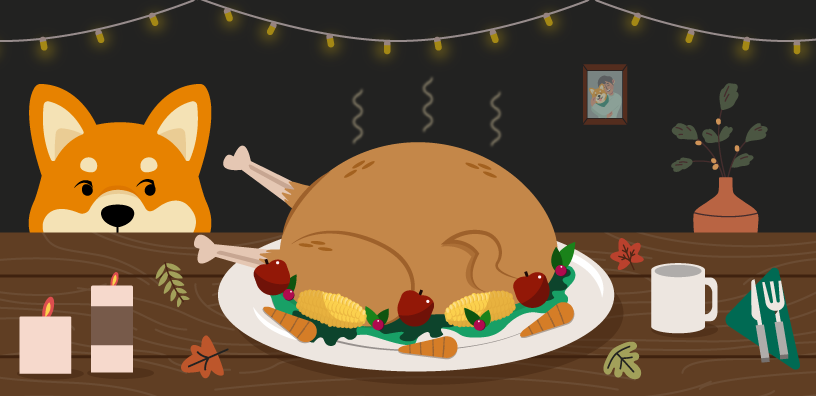Build the Perfect Pup Plate: What Can Dogs Eat on Thanksgiving?