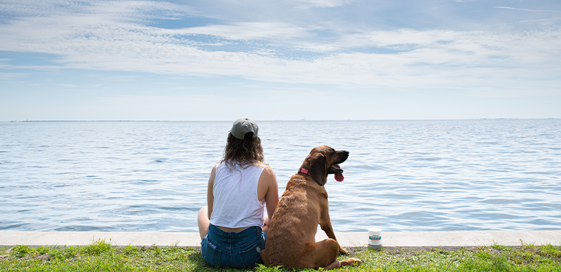 4 Ways Dogs Make Your Life Better