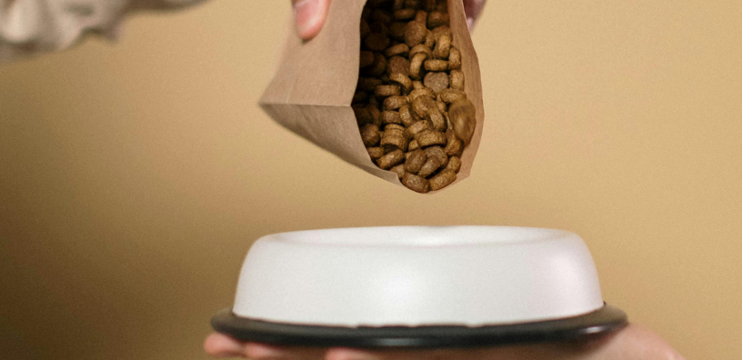 dog kibble being put into white dog bowl