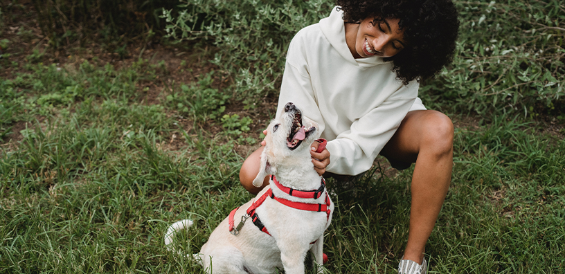 Best Friends Day Activities for You & Your Furry Friend