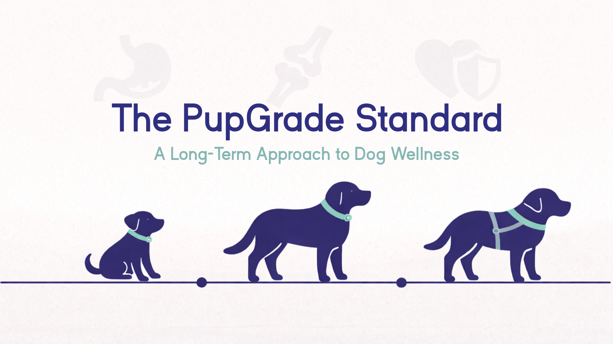 The PupGrade Standard: A Long-Term Approach to Dog Wellness