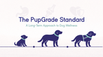 The PupGrade Standard: A Long-Term Approach to Dog Wellness