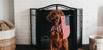 5 Tips for a Stress-Free 4th of July