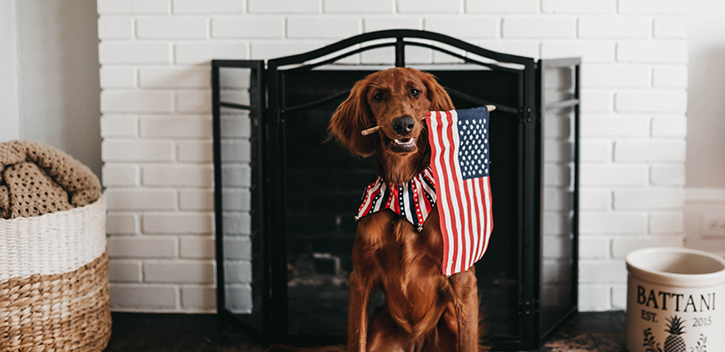 5 Tips for a Stress-Free 4th of July