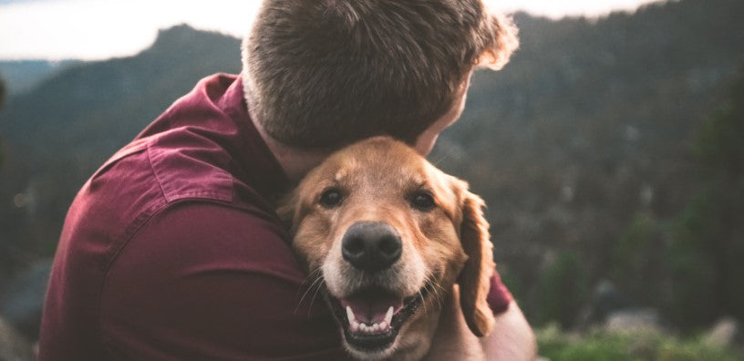 Mental Health Awareness: Can Your Dog Improve Your Mental Health?