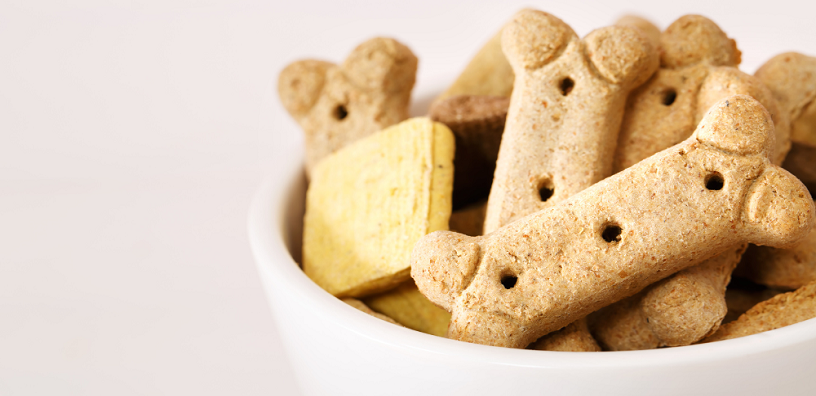 Healthy & Tasty Homemade Dog Treats That Your Pup Will Love
