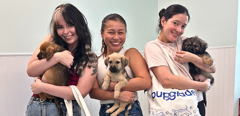 Three smiling PupGrade team members holding adoptable puppies during a visit to the Humane Society of Pinellas. One person carries a branded PupGrade tote bag
