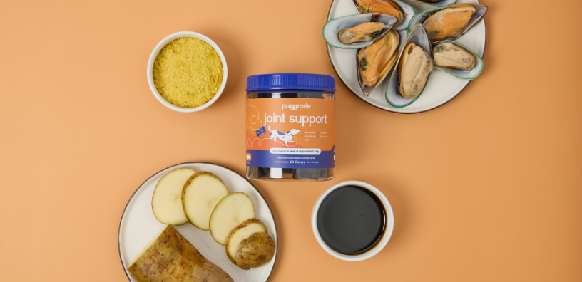 PupGrade Joint Support