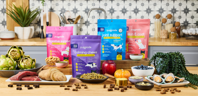 From Our Dogs to Yours: Formulas We Trust for Our Own Pets