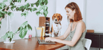 Beagle sitting beside a woman working on a laptop at home—showcasing the importance of including your dog in daily routines and mental stimulation.
