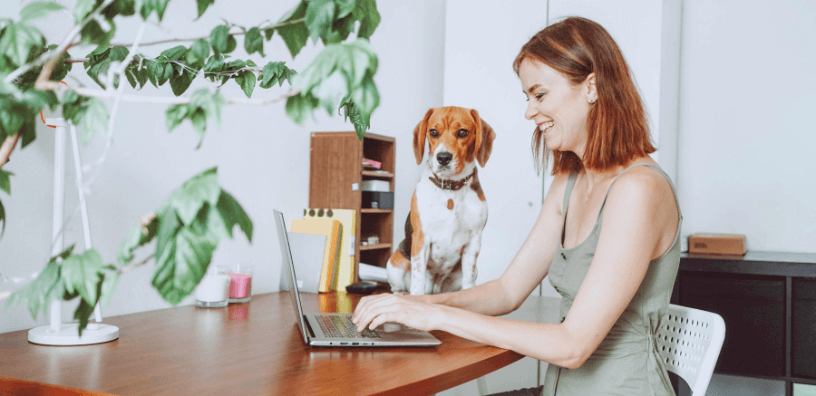 Beagle sitting beside a woman working on a laptop at home—showcasing the importance of including your dog in daily routines and mental stimulation.