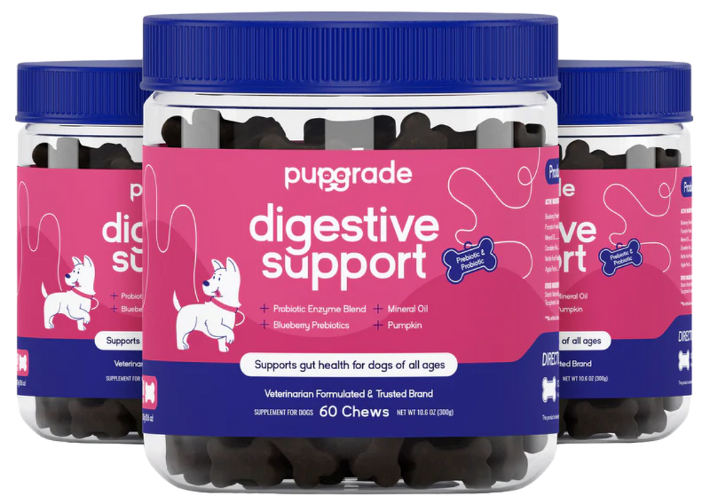Digestive Support Jars
