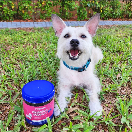 Customer review image