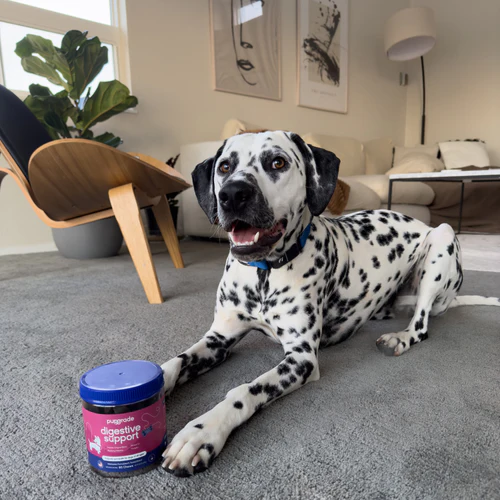 Customer Review Image