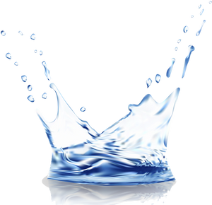Purified Water