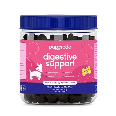 Digestive Support