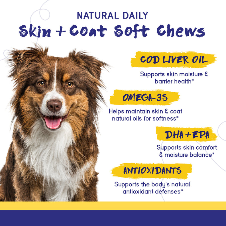 PupGrade Skin & Coat Chews for Dogs, 60 Count