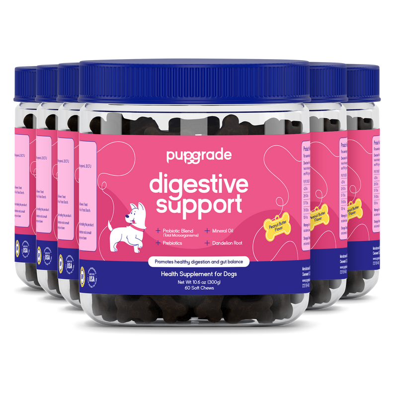 Digestive Support – PupGrade