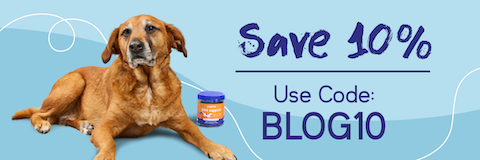 A brown dog lying down next to a container of pet supplements with text that says 'Save 10%. Use Code: BLOG10' on a blue background.