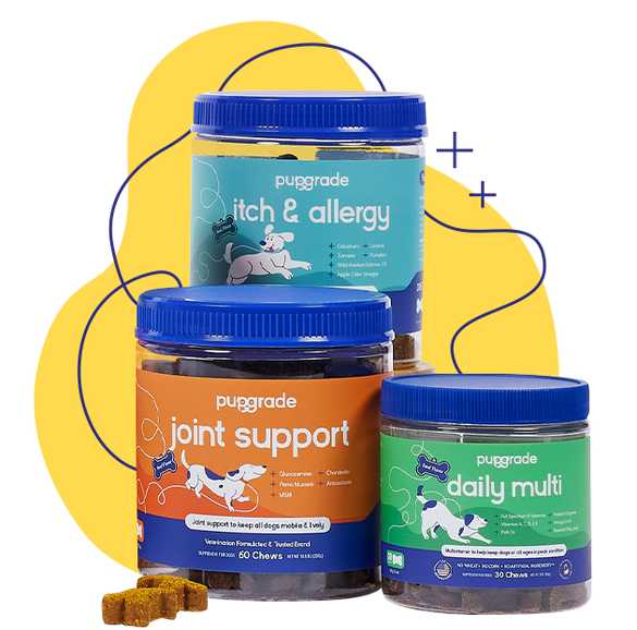 Joint support, daily multivitamin, and itch and allergy chew jars displayed with a yellow background