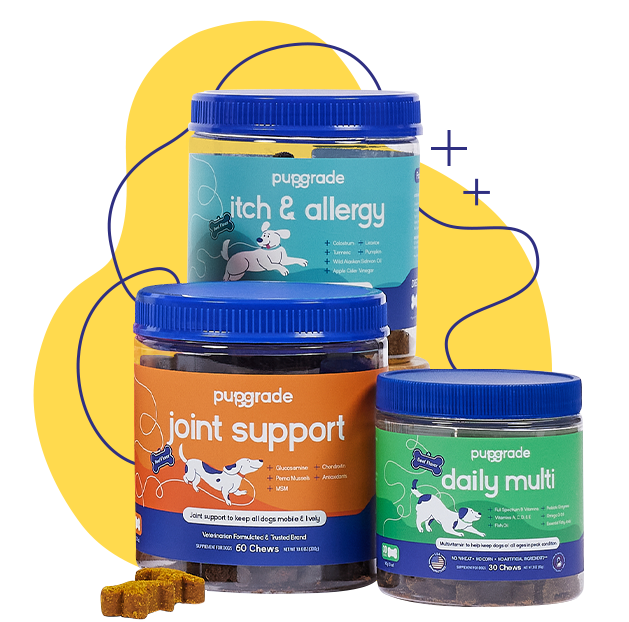 Joint support, daily multivitamin, and itch and allergy chew jars displayed with a yellow background