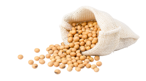 Soy Lecithin