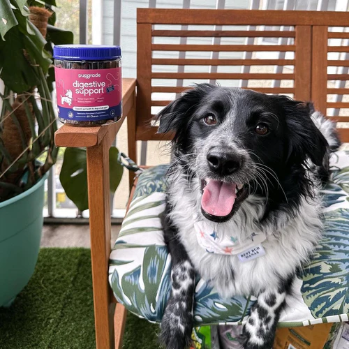 Customer Review Image